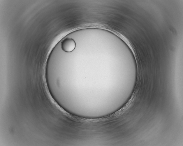 X0000113231389200909100934