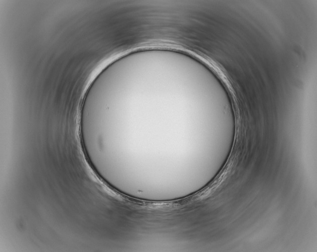 X0000113231390200909100934