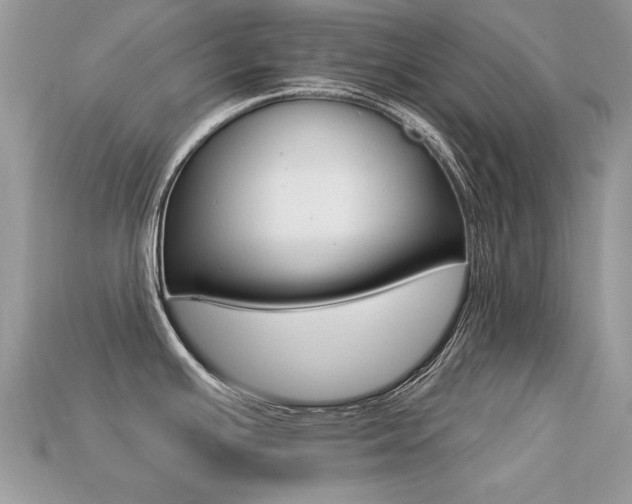X0000113231391200909100934
