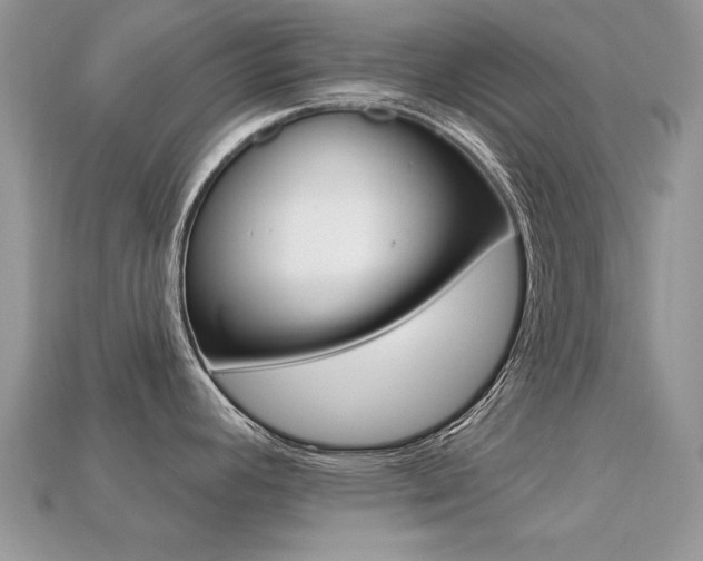 X0000113231392200909100934