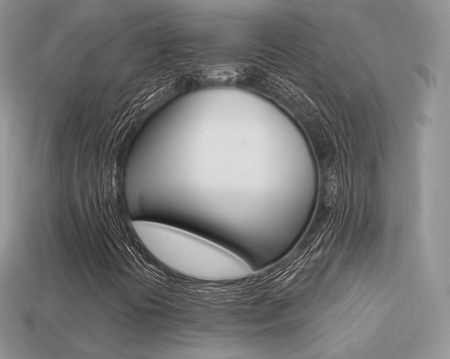 X0000113231394200909100934
