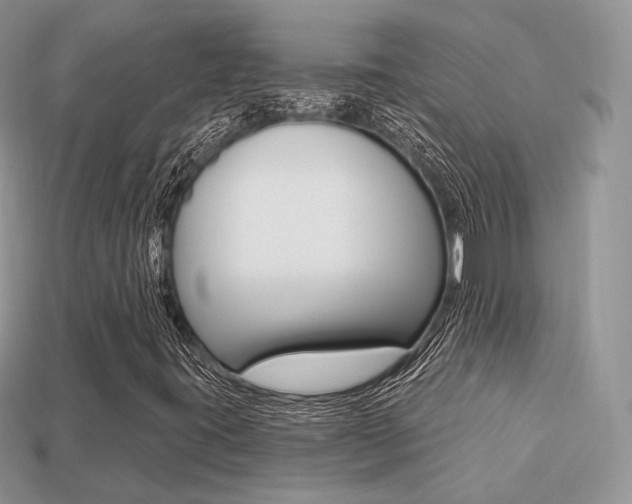 X0000113231395200909100934