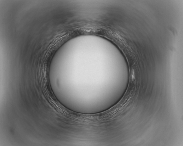 X0000113231396200909100934
