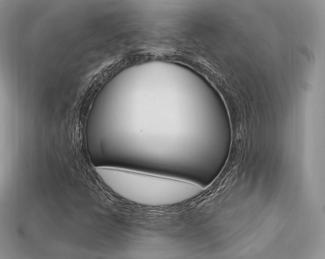 X0000113231398200909100934