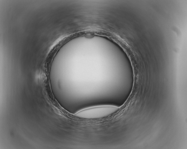 X0000113231400200909100934