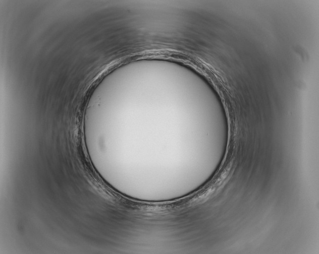 X0000113231401200909100934