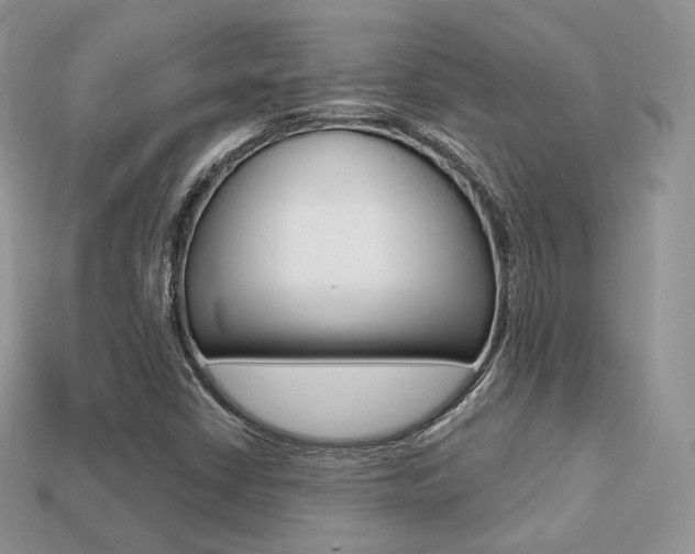 X0000113231402200909100934