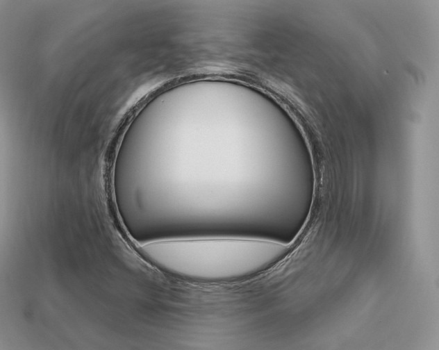 X0000113231404200909100934