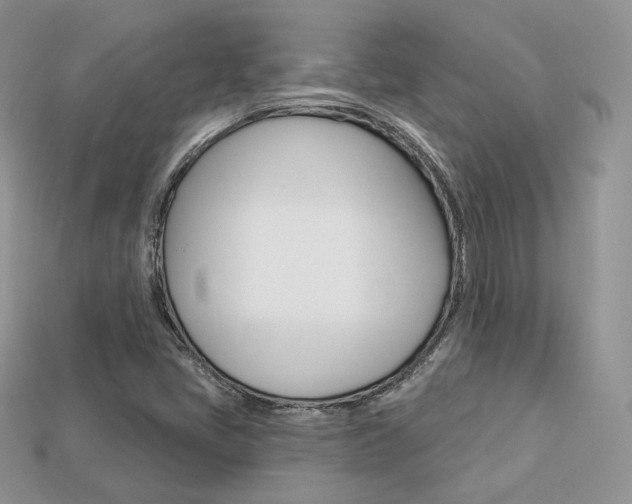 X0000113231405200909100934