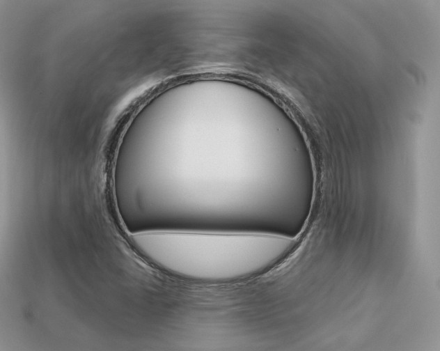 X0000113231406200909100934