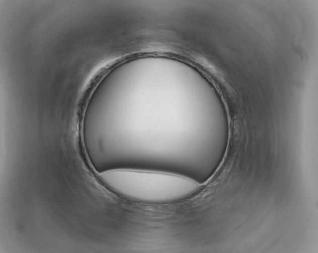 X0000113231408200909100934