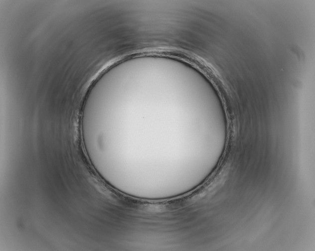 X0000113231409200909100934