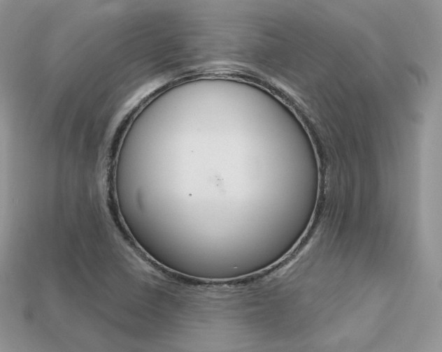 X0000113231410200909100934