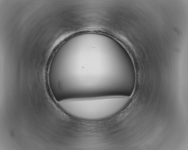X0000113231412200909100934