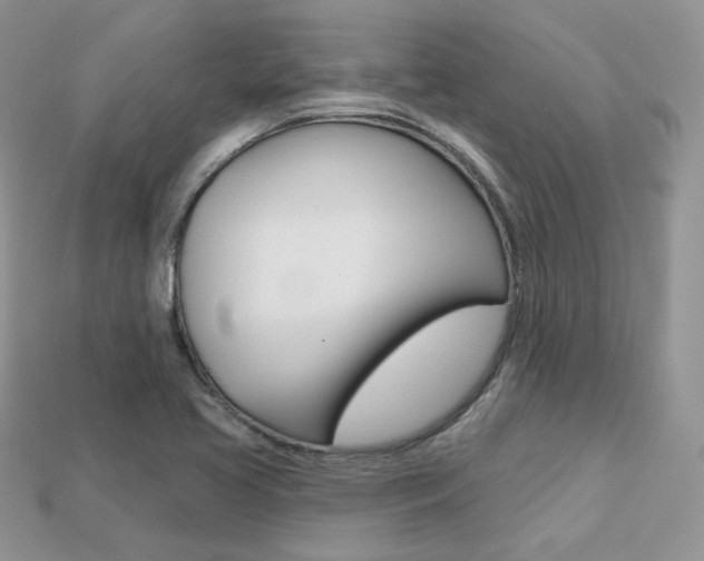 X0000113231413200909100934