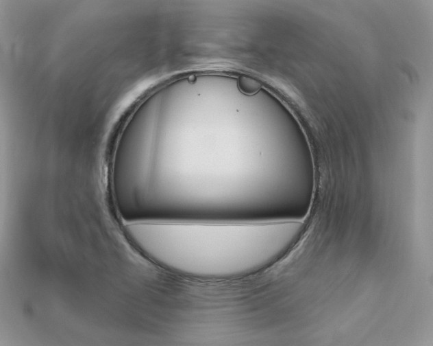 X0000113231414200909100934