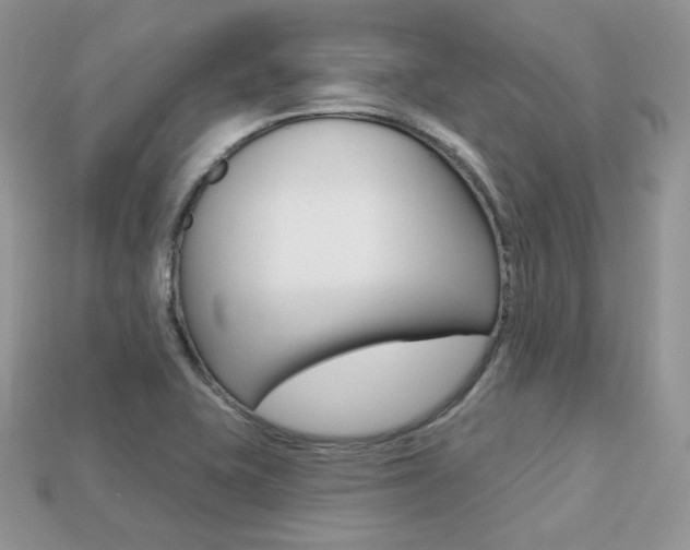 X0000113231415200909100934