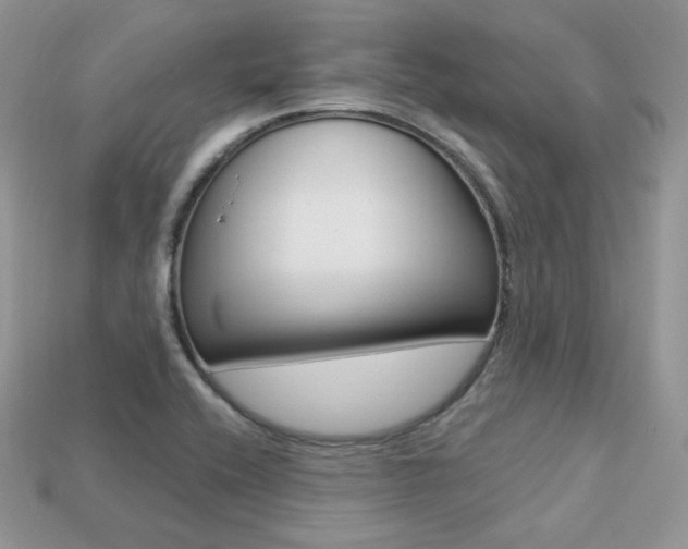 X0000113231416200909100934