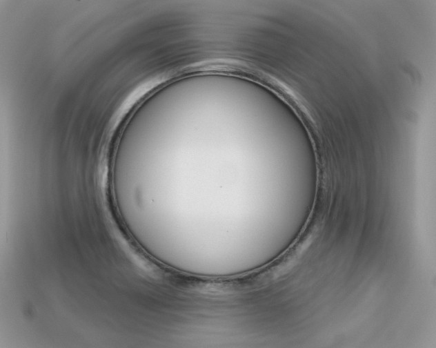 X0000113231418200909100934