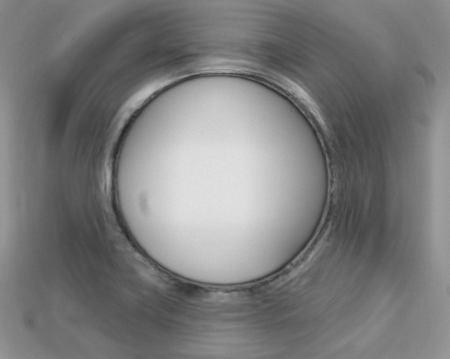 X0000113231419200909100934