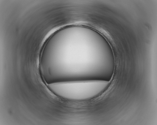 X0000113231420200909100934