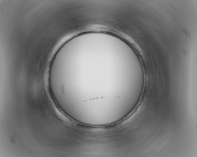 X0000113231421200909100934