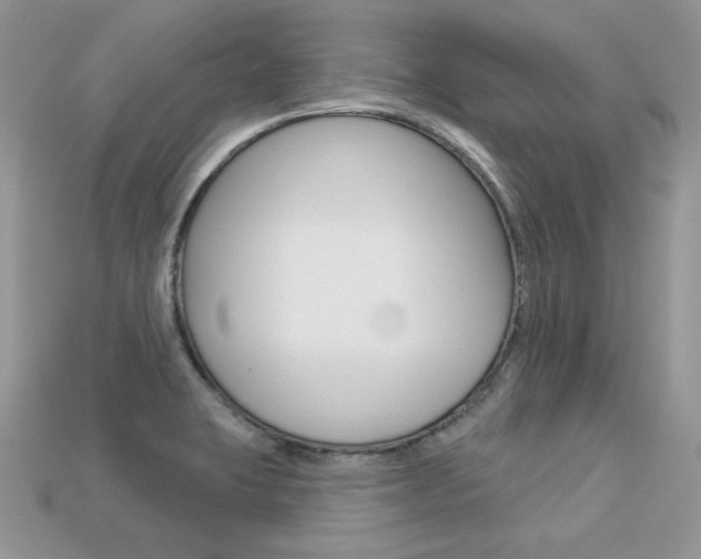 X0000113231423200909100934