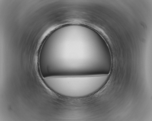 X0000113231424200909100934