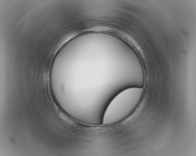 X0000113231425200909100934