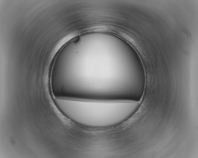 X0000113231426200909100934