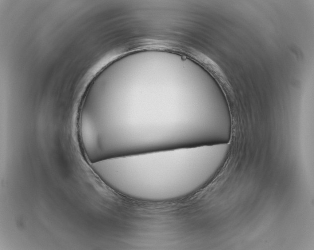 X0000113231427200909100934