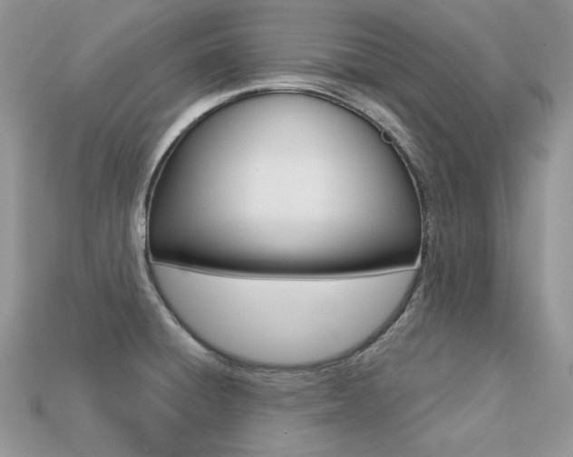 X0000113231428200909100934