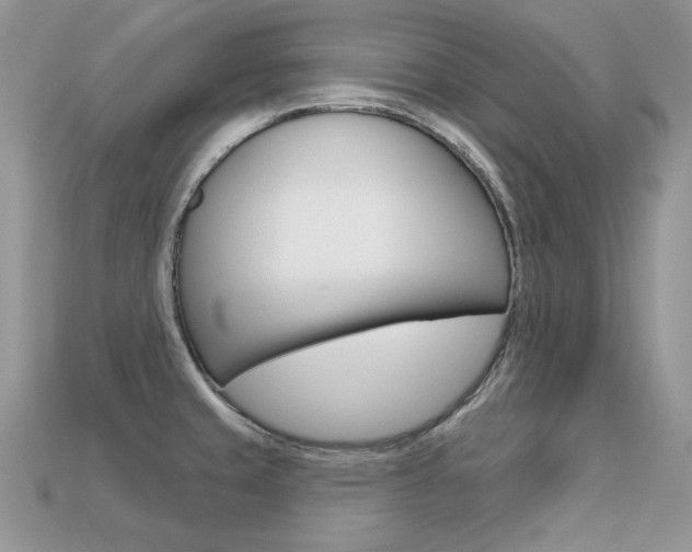 X0000113231429200909100934