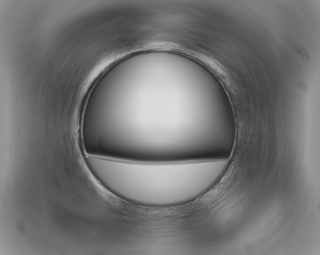 X0000113231430200909100934