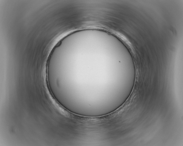 X0000113231431200909100934
