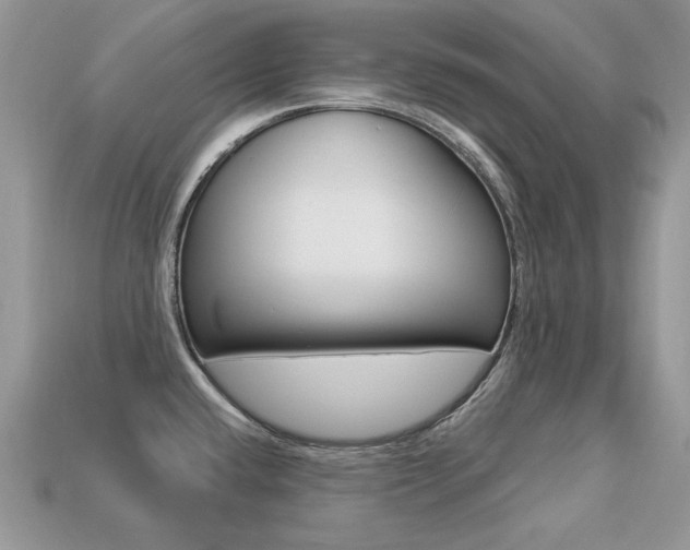 X0000113231432200909100934