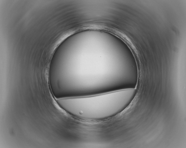 X0000113231433200909100934