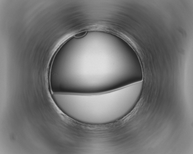 X0000113231434200909100934
