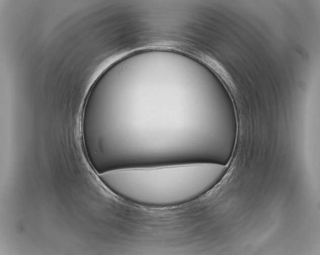 X0000113231436200909100934