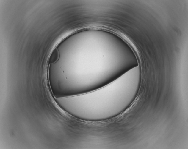 X0000113231437200909100934