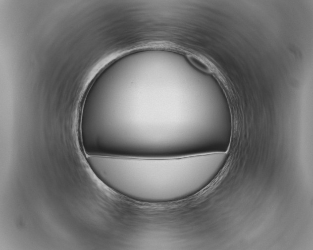 X0000113231438200909100934