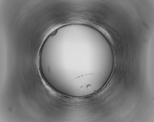 X0000113231439200909100934