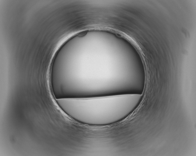 X0000113231440200909100934
