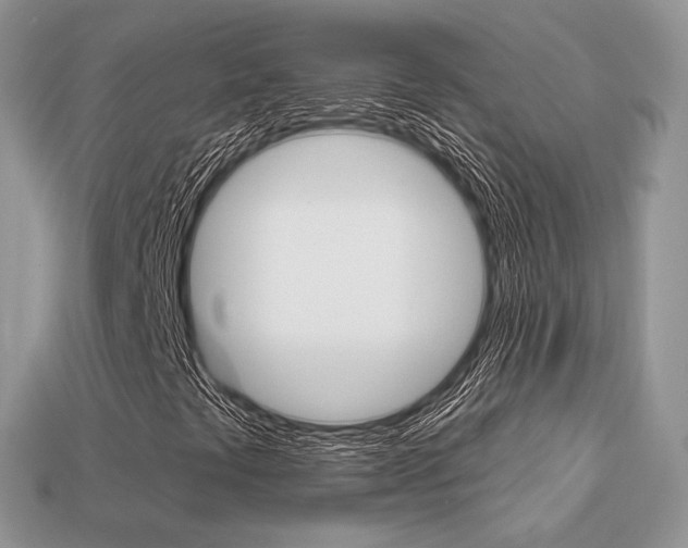 X0000113231441200909100934