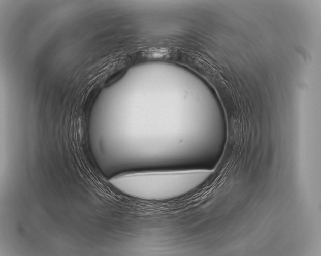 X0000113231442200909100934