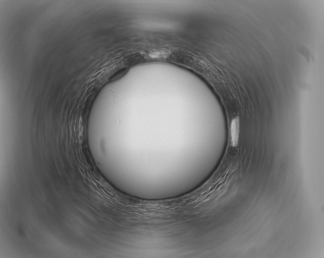 X0000113231443200909100934
