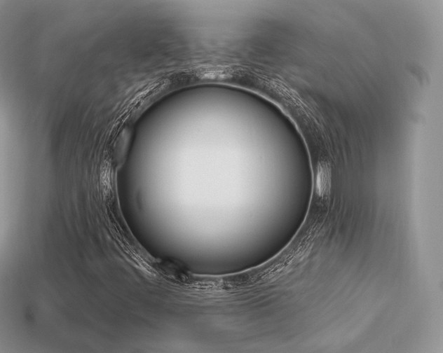 X0000113231444200909100933