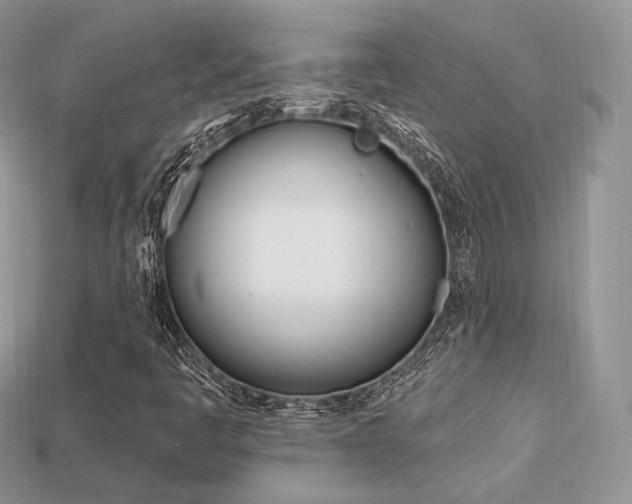 X0000113231445200909100933
