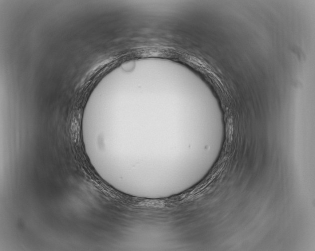 X0000113231446200909100933