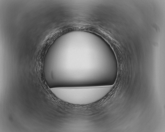 X0000113231447200909100933
